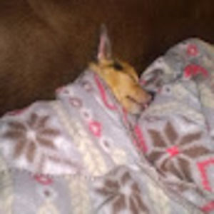 Meet your Posher, Lizz